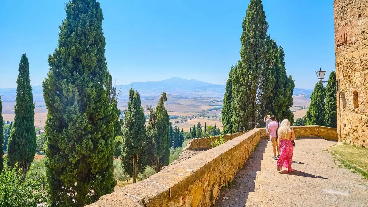 Cypress-lined hills of the Val d'Orcia on a Montalcino, Pienza and Montepulciano wine tour